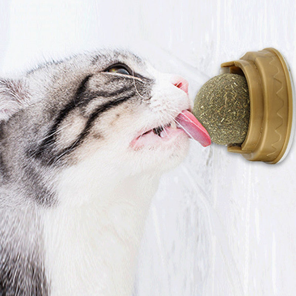 e5455b61694cc97cfc29db350616f01c